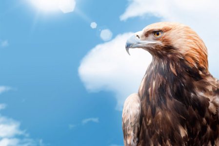 CIAG aguila-1