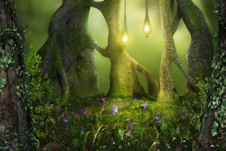 ciag anima-plantas-1