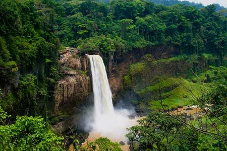 camerun